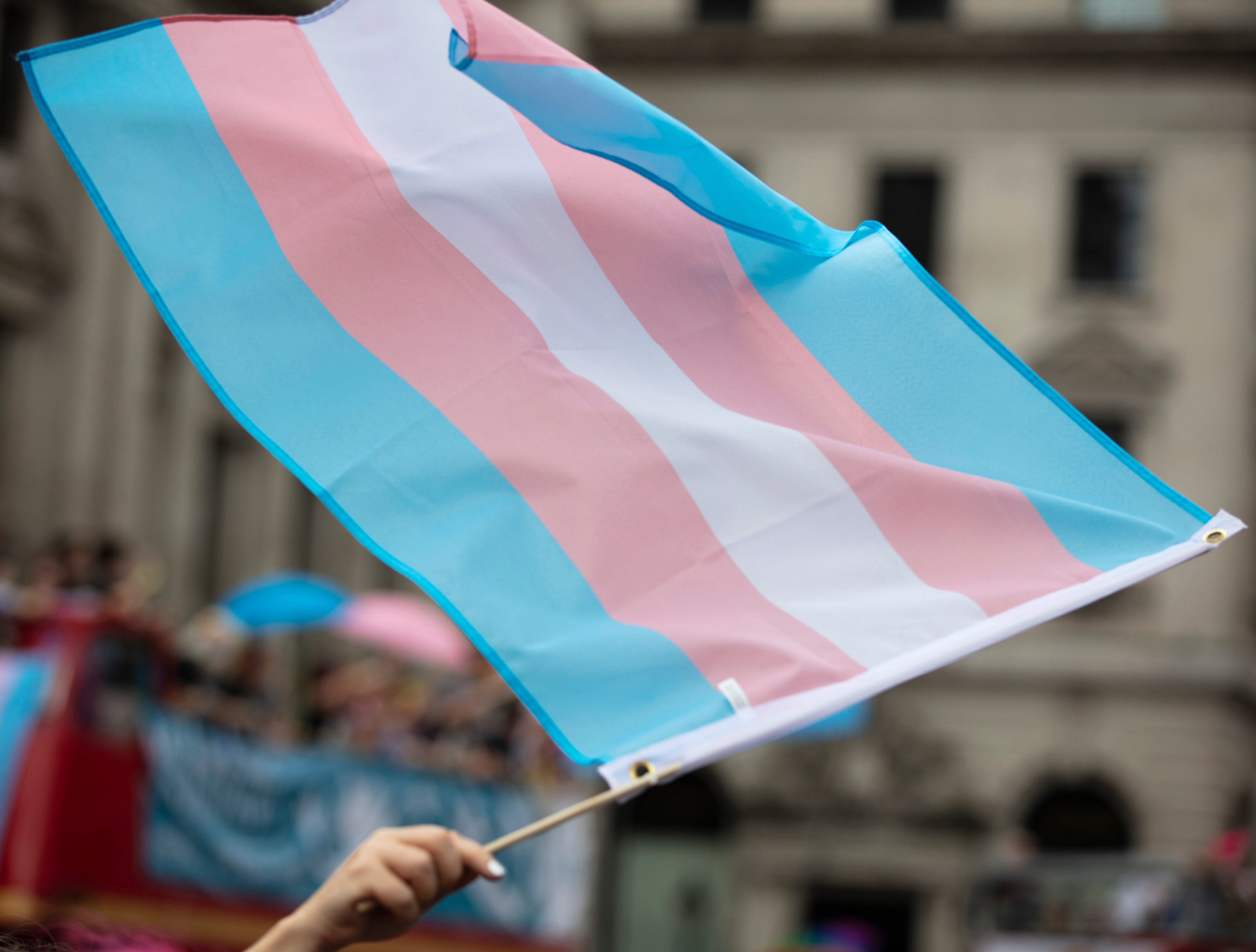 A transgender flag being waved at LGBT pride march